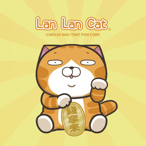 LAN LAN CAT